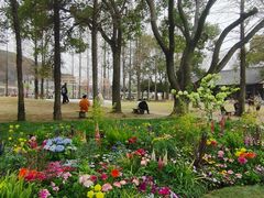 -苏州上方山国家森林公园