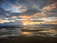 -红树林天天赶海