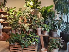 -自由生长植物工作室(深港花卉中心店)