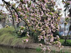 -莫愁湖公园
