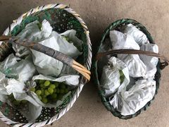 -马陆小张葡萄园农家乐