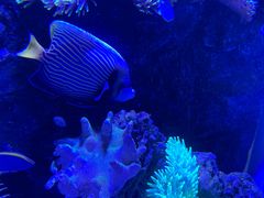 -太平洋海底世界