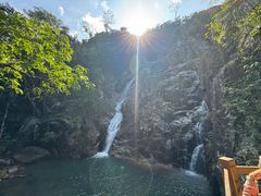 -海南霸王岭国家森林公园