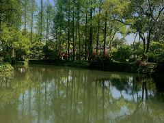 -浙江西子宾馆·牡丹厅