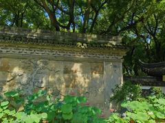 -上海醉白池公园