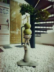 点击看大图 -一花一叶瑜伽生活馆