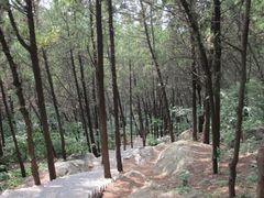 -云龙山