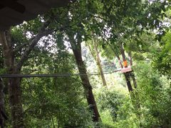 -清迈丛林飞跃 JungleFlight