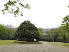 -灵谷景区