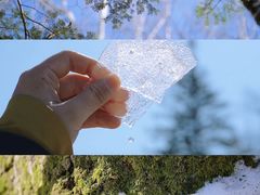 -长白山万达国际度假区
