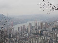 -万县面馆(高笋塘店)