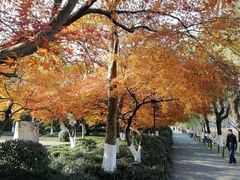 -中山公园(石岐街道)