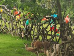 -泉州海丝野生动物世界