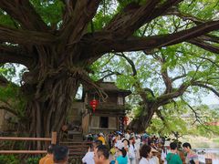 -福建土楼（南靖）云水谣景区-和贵楼