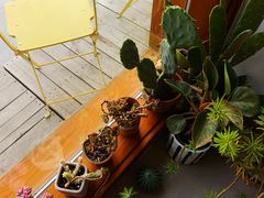 -AHAVA·Fang Baking Studio
