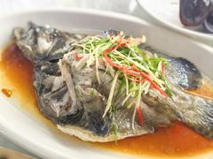 清蒸石斑鱼-众味海鲜大排档·活海鲜·潮汕味(南澳店)
