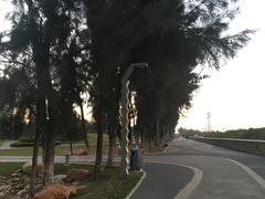 -宝安西湾红树林湿地公园