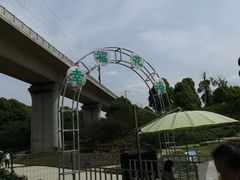 -秀丽东方