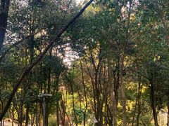 -成都市活水公园