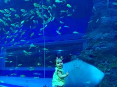 -成都浩海立方海洋公园