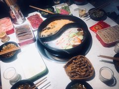 -钢管厂五区小郡肝火锅串串香(总店)