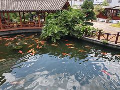 -香麒园·过桥米线·南湖雅宴