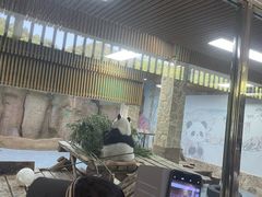 -无锡动物园·太湖欢乐园