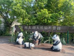 -苏州太湖湖滨国家湿地公园