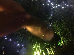 -常州环球恐龙城维景国际大酒店
