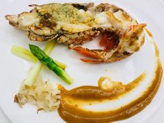 澳洲鲜活龙虾-好悦情铁板烧
