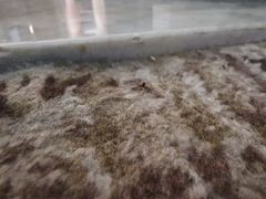 -宁波威斯汀酒店