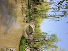 iphone_upload_pic-南汇桃花村