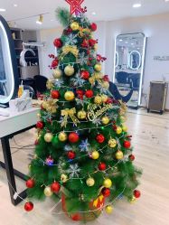 -新晨·SALON·形象造型