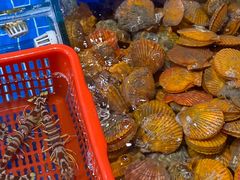 -船奇蒸汽海鲜·闽菜(八市海鲜总店)