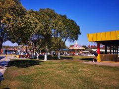 -上海海湾国家森林公园