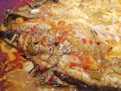 海鲈鱼-炉鱼(爱琴海购物公园店)