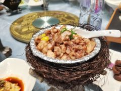-丁老爷子苏香圆