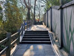 -上海佘山国家森林公园西佘山园