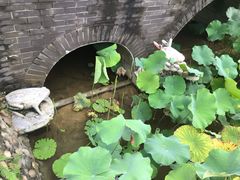 -四川大学(华西校区)