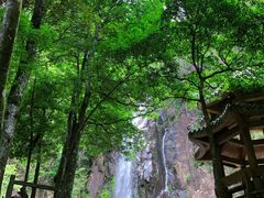 -姑婆山旅游区