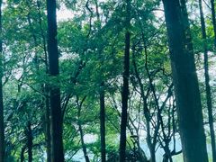 -中国茶叶博物馆(双峰馆区)