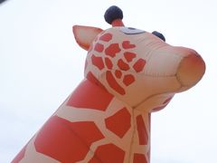 -合肥蜀山万象汇