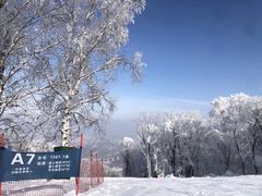 -中旅松花湖滑雪场