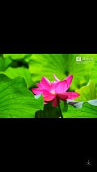 点击看大图 -小忠丽格医美