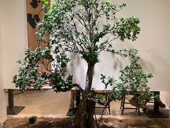 景观位-成川茶店·潮汕工夫浓茶(万象店)