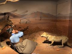 -陕西自然博物馆