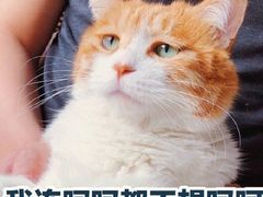 -常州奔牛国际机场
