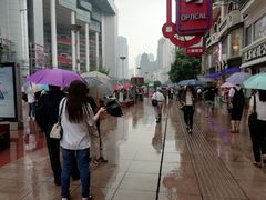 -泰康食品(南京东路店)