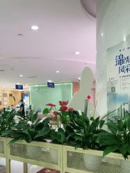 -重庆联合丽格第五医疗美容医院