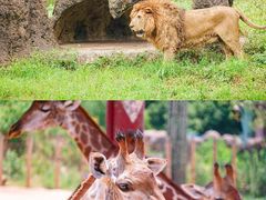 -杭州野生动物世界